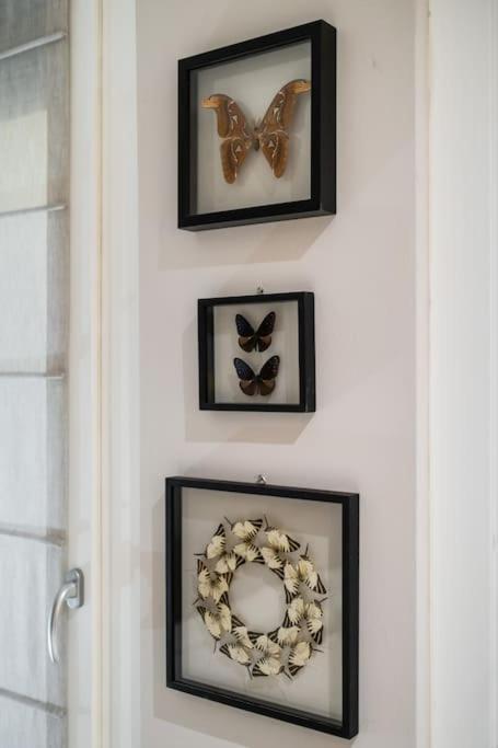 Casa Delle Farfalle Bolonya Dış mekan fotoğraf